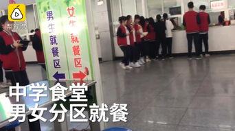 河南学校爆料视频最新,揭秘校园内幕
