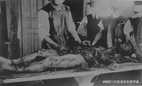 欧美人畜杂交在线视频,揭秘人畜杂交在线视频的黑暗面