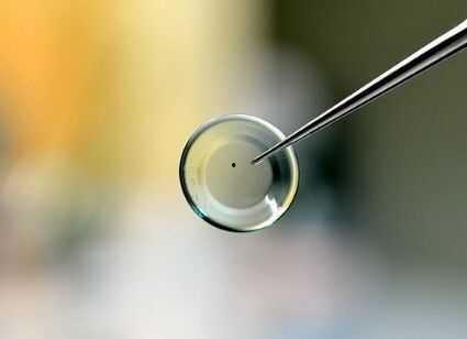 角膜塑形镜佩戴视频,视频教程带你轻松掌握