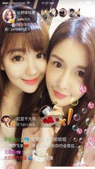 园田无码影音先锋,揭秘神秘领域