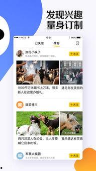 好看视频爆料,热门内容背后的精彩故事