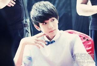 王源与明星,明星阵容闪耀新篇章