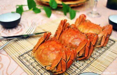 洗螃蟹的方法视频,视频教学，轻松掌握洗蟹技巧