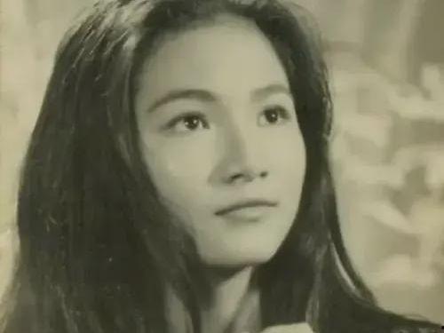 死去明星有哪些,缅怀已故明星的辉煌岁月