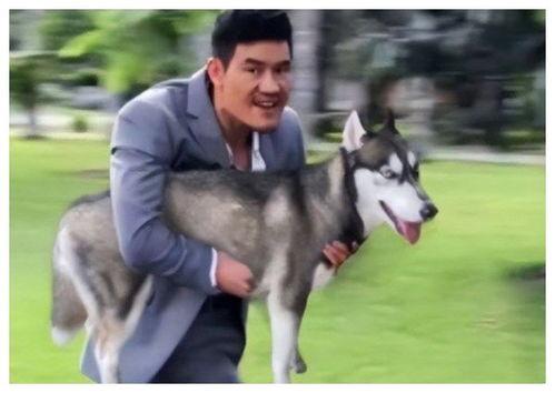 玩鸭子视频,趣味视频带你领略欢乐时光