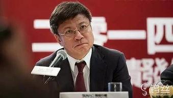 孙宏斌爆料完整视频播放,内幕细节与惊人真相