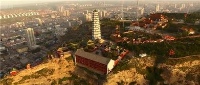 神木视频,揭秘神秘古树背后的传奇故事