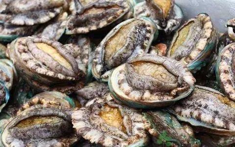 18p鲍鱼av,揭秘成人影视背后的故事与争议