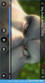 dorcel先锋影音在线播放,Dorcel先锋影音，在线视听盛宴