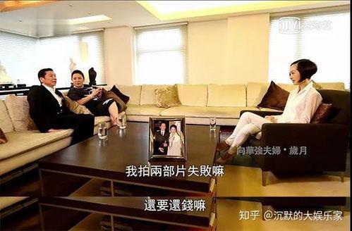 向太爆料香港娱乐圈,香港娱乐圈背后的惊人内幕