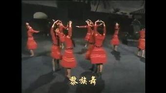 红色全集在线观看,重温革命岁月，共筑红色梦想