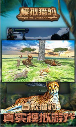 丛林手机免费观看高清